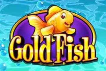 goldfish